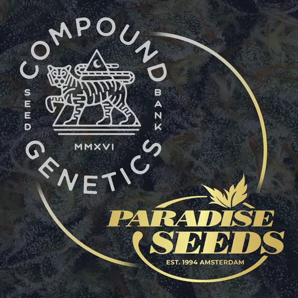 Compound Genetics and Paradise Seeds partnership logo
